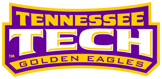 Tennessee Tech Golden Eagles 2006-Pres Wordmark Logo diy DTF decal sticker